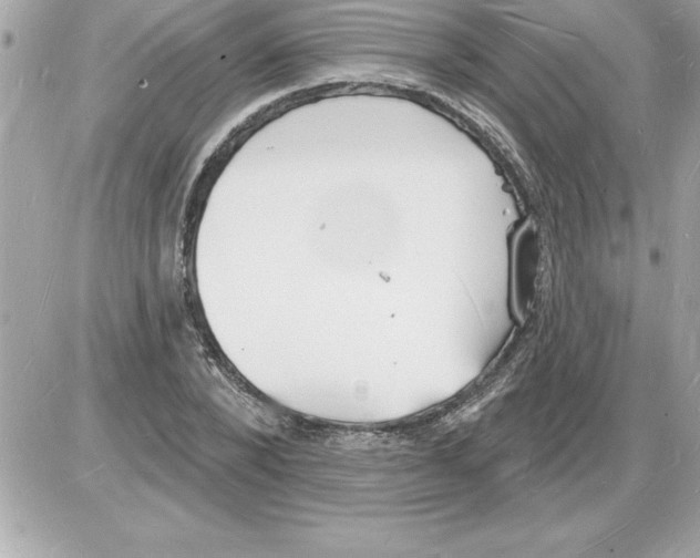 X0000085280880200704092204