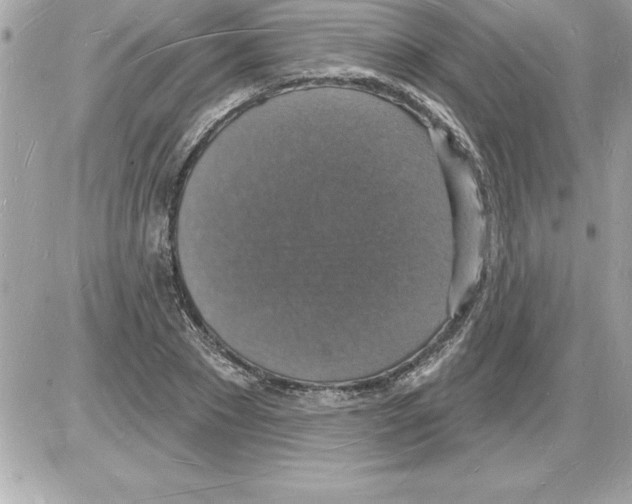 X0000085280881200704092204