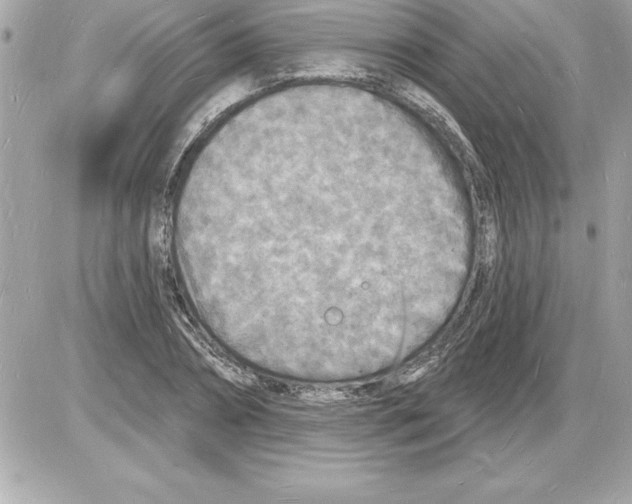 X0000085280882200704092204