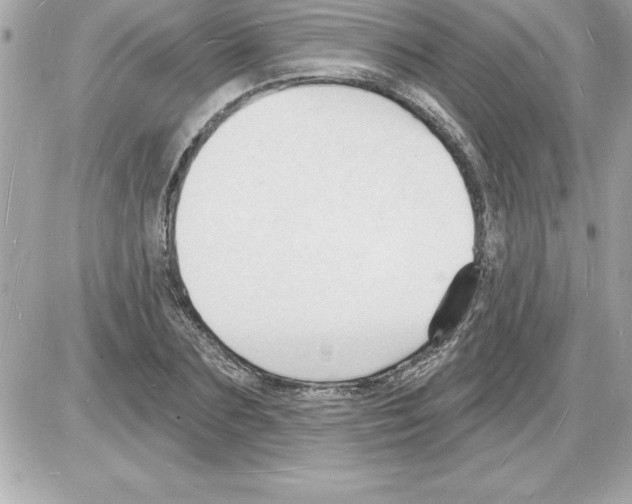 X0000085280883200704092204