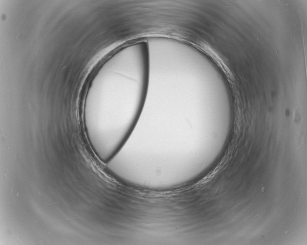 X0000085280884200704092204