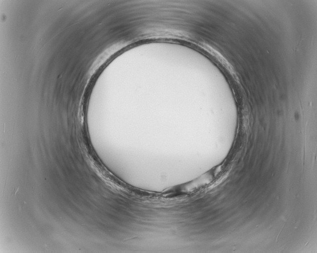 X0000085280885200704092203