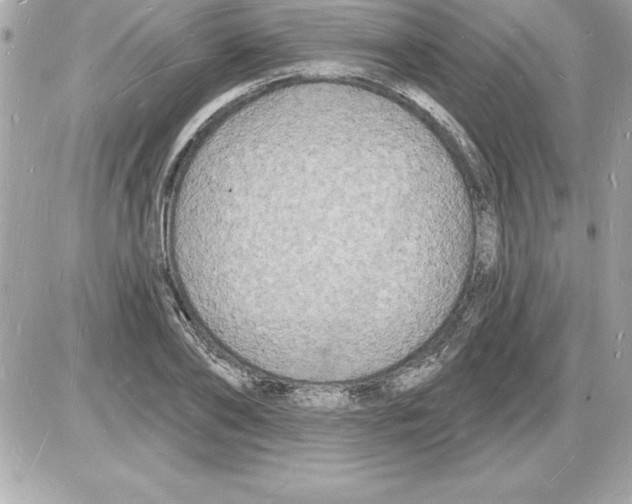 X0000085280886200704092203