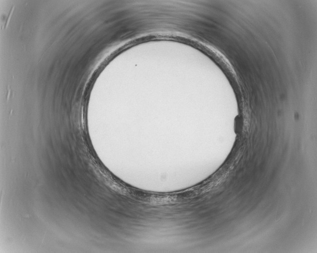 X0000085280887200704092203