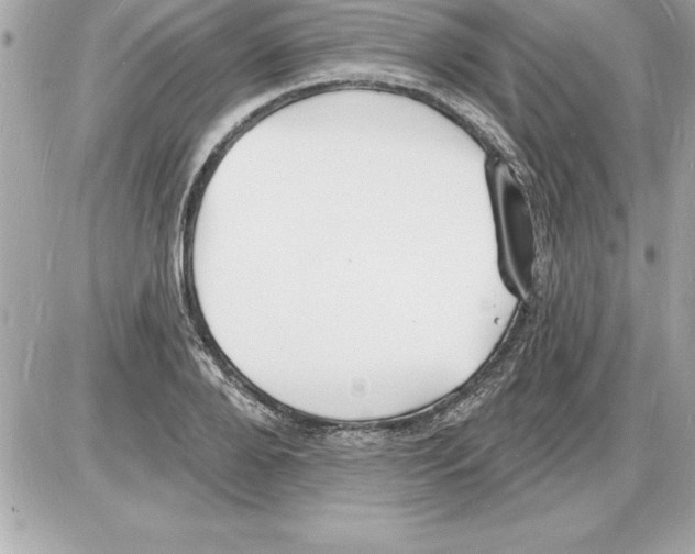 X0000085280888200704092203