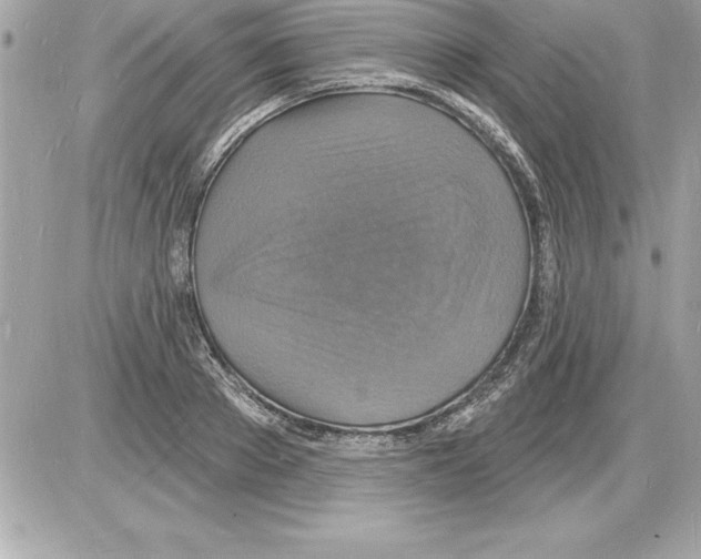 X0000085280889200704092203