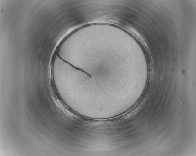 X0000085280892200704092203