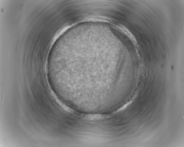 X0000085280893200704092203