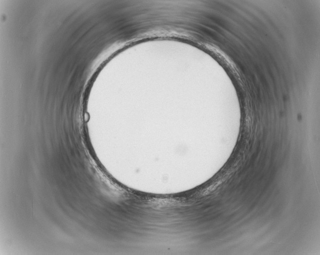 X0000085280894200704092203