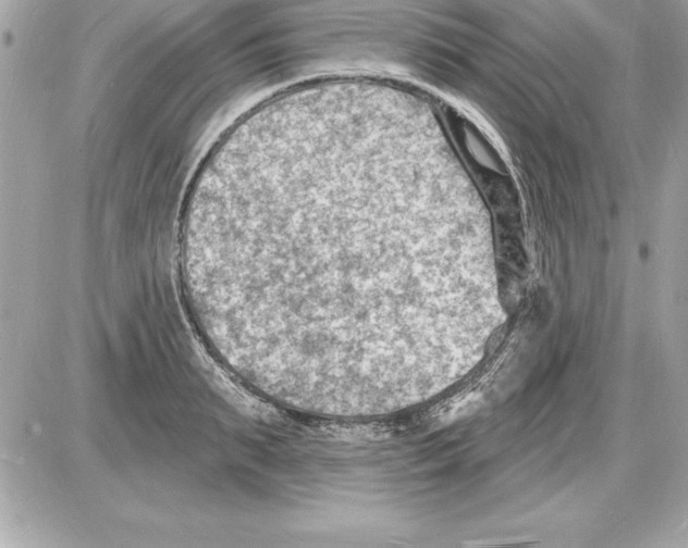 X0000085280895200704092203