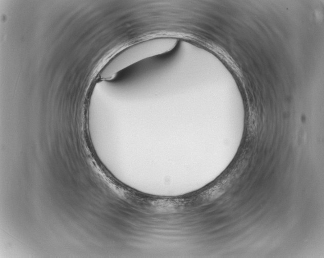 X0000085280898200704092203