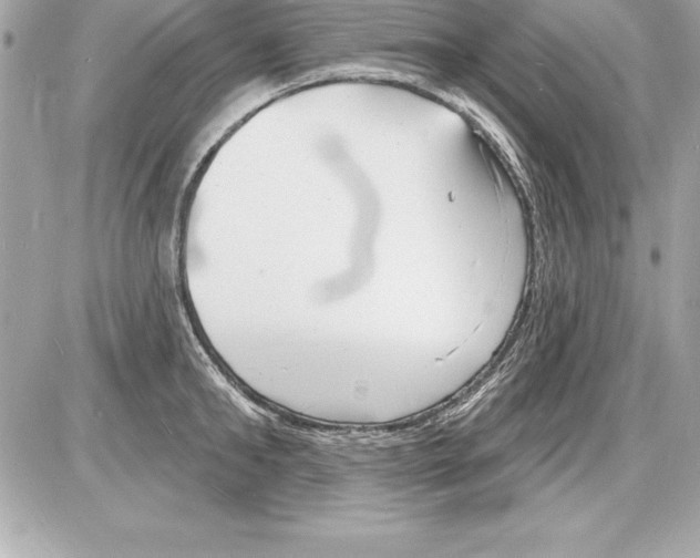 X0000085280902200704092203