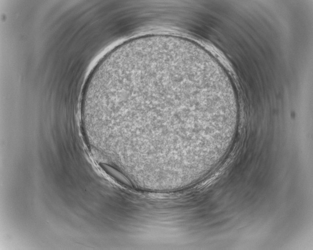 X0000085280904200704092203