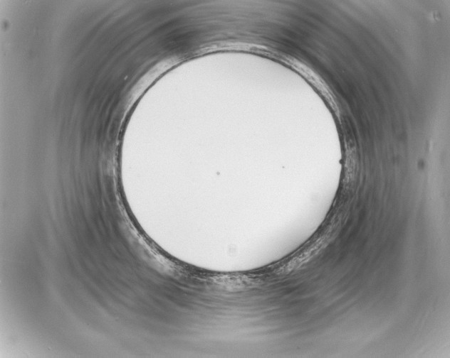 X0000085280906200704092203