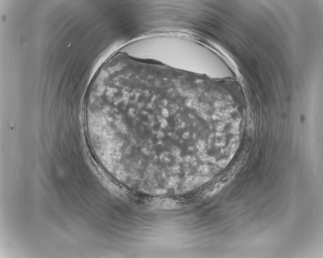 X0000085280907200704092203