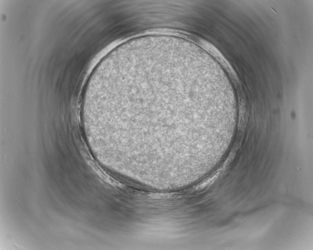 X0000085280908200704092203