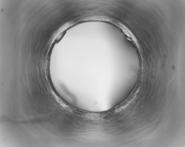 X0000085280909200704092203