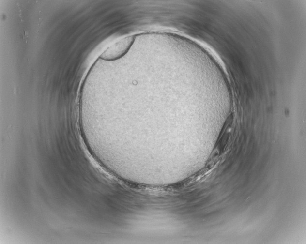 X0000085280911200704092203