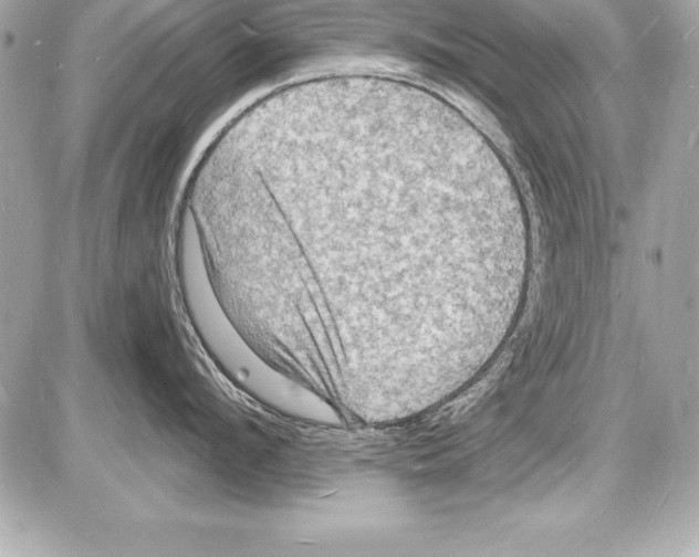 X0000085280912200704092203