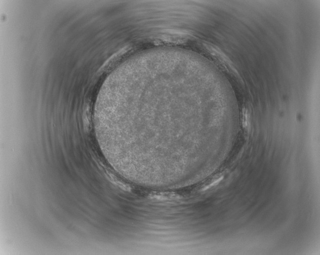 X0000085280915200704092202