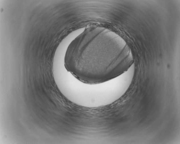 X0000085280916200704092202