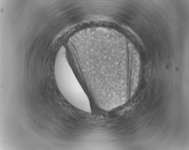 X0000085280919200704092202