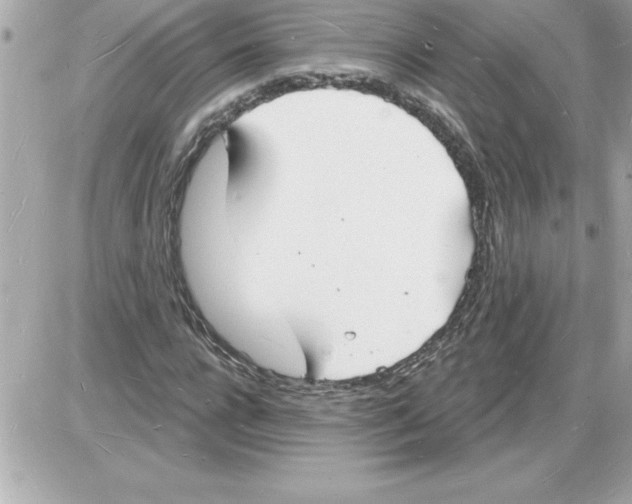 X0000085280920200704092202