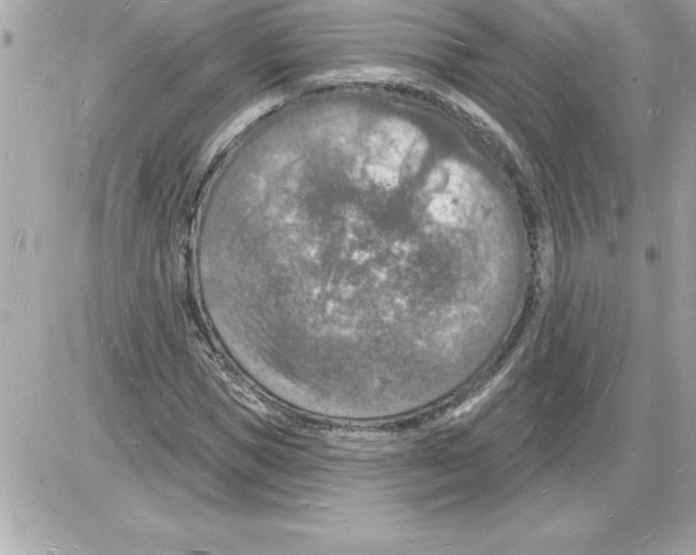 X0000085280921200704092202