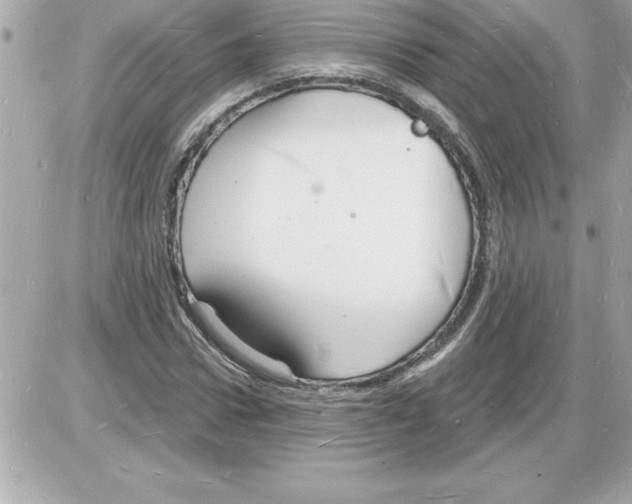 X0000085280922200704092202