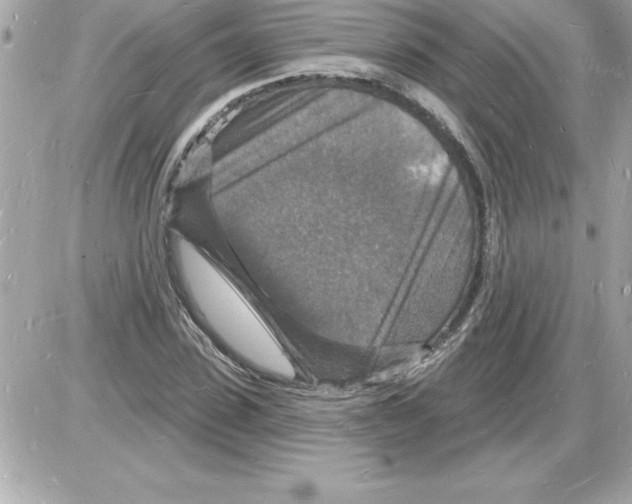 X0000085280923200704092202