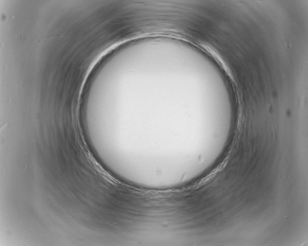 X0000085280924200704092202