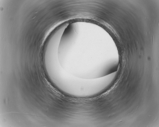 X0000085280926200704092202