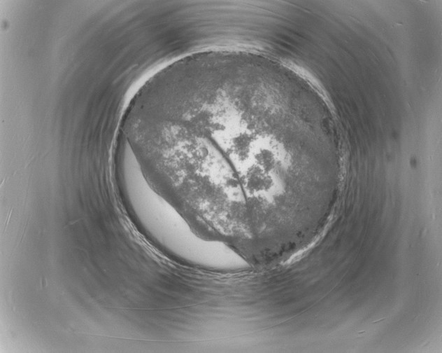 X0000085280928200704092202