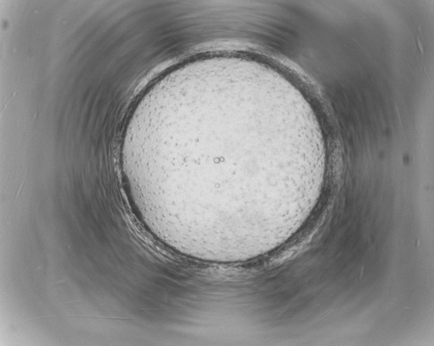 X0000085280929200704092202