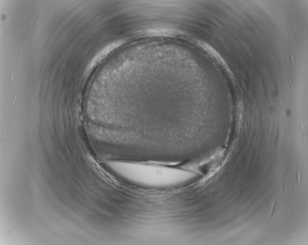 X0000085280930200704092202