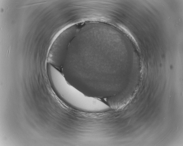 X0000085280932200704092202