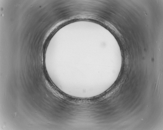 X0000085280934200704092203