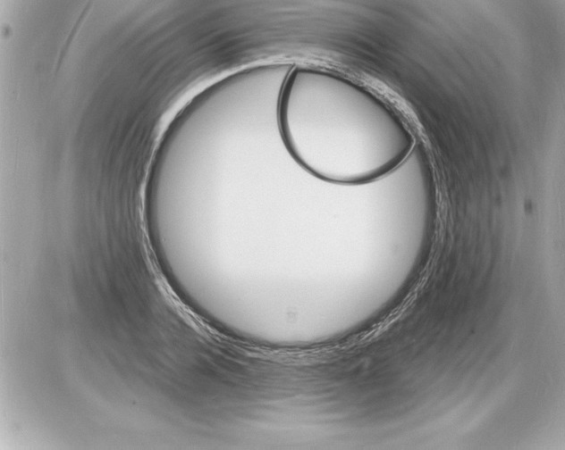 X0000085280936200704092203