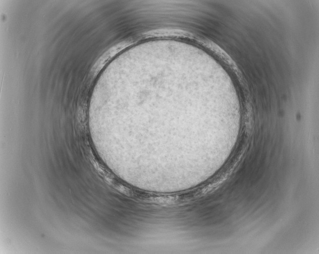 X0000085280937200704092203