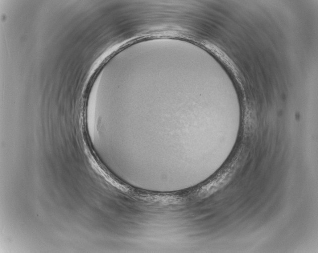 X0000085280941200704092203