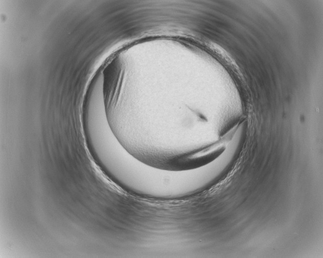 X0000085280942200704092203