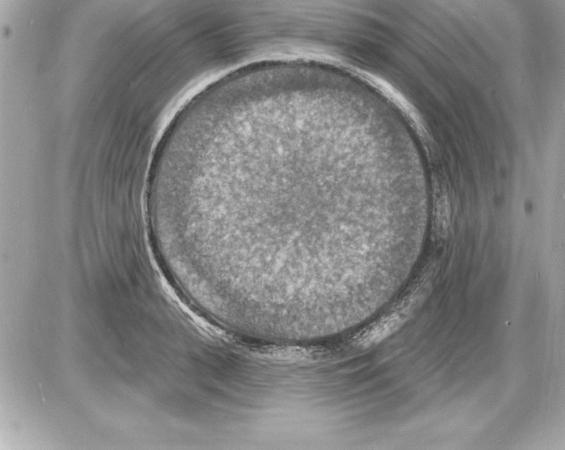 X0000085280943200704092203