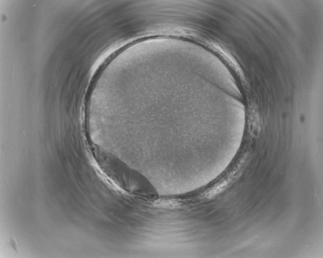 X0000085280944200704092203