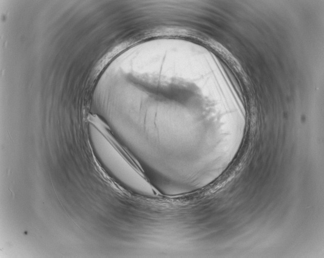 X0000085280945200704092203