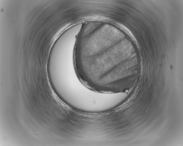 X0000085280946200704092203