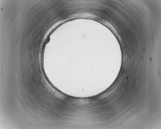 X0000085280947200704092203