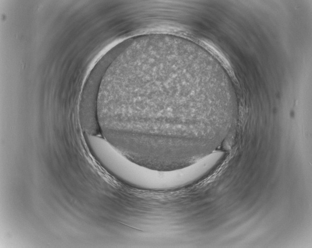 X0000085280948200704092203