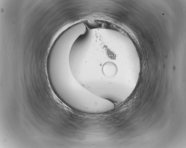 X0000085280950200704092203