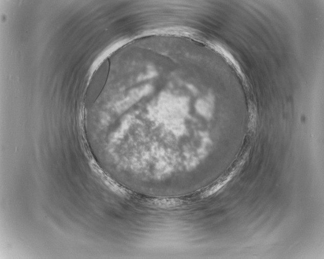 X0000085280952200704092203