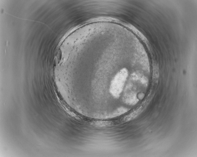 X0000085280953200704092203